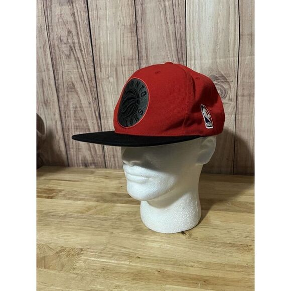 Mitchell  Ness Toronto Raptors XL Logo Tonal Snapback Hat - Picture 1 of 12